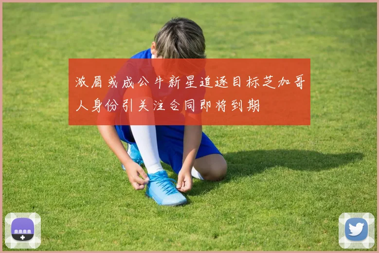 浓眉或成公牛新星追逐目标芝加哥人身份引关注合同即将到期