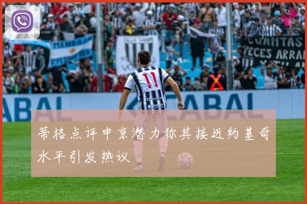 蒂格点评申京潜力称其接近约基奇水平引发热议