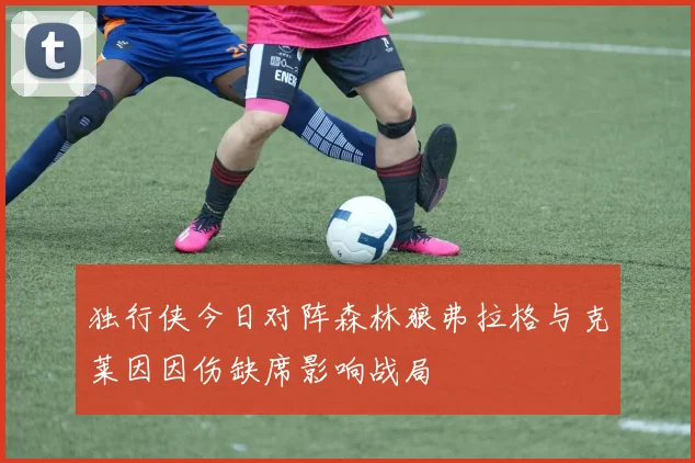 独行侠今日对阵森林狼弗拉格与克莱因因伤缺席影响战局
